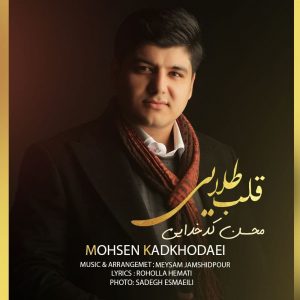 Mohsen Kadkhodaei 