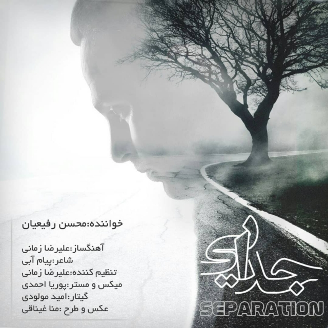 Mohsen Rafieyan – Jodaee