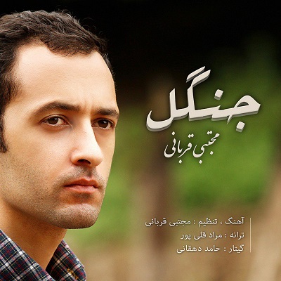 Mojtaba Ghorbani – Jangal