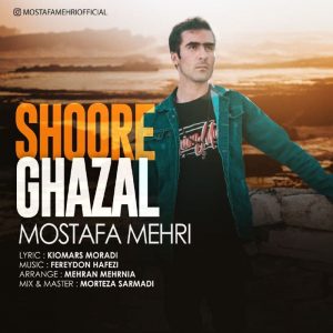 Mostafa Mehri 
