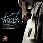 Nader Gharaei – Karate