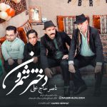 Naser Hajali – Dokhtare Shemroon - 