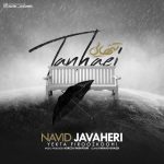 Navid Javaheri – Tanhaei - 
