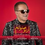 Parviz Babaei – Az To Mamnoonam