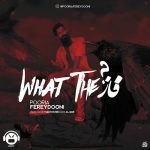 Pooria Fereydooni – What The Fazz - 