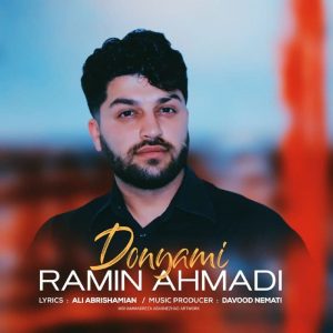 Ramin Ahmadi 