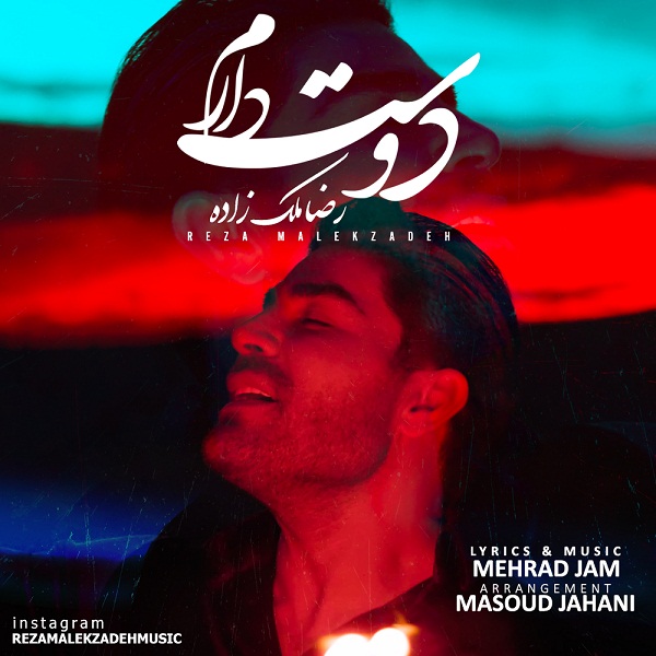 Reza Malekzadeh – Dooset Daram