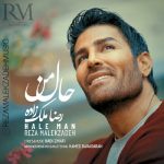 Reza malekzadeh – Hale Man - 