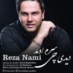 Reza Nami – Didi Chi Saram Oumad - 