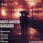 Saeed Asayesh – Bargard - 