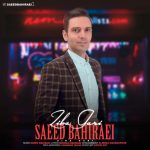 Saeed Bahiraei – Zibagar - 
