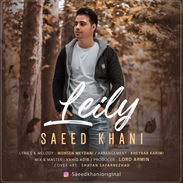 Saeed Khani – Leily