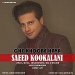 Saeed Kookalani – Che Khoobe Hava - 