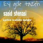 Saeid Shenasi – Ey Gole Tazeh