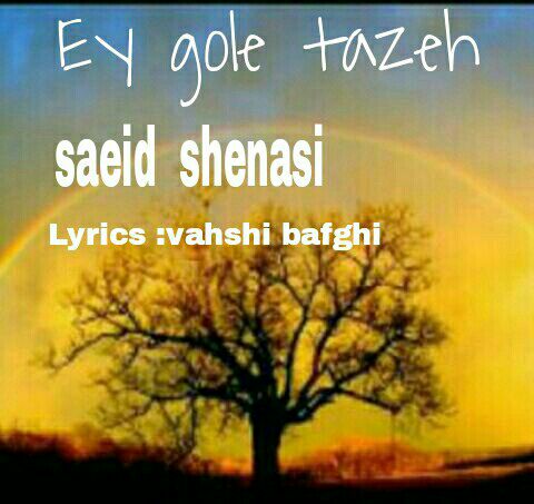 Saeid Shenasi – Ey Gole Tazeh
