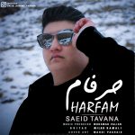saeid Tavana – Harfam - 