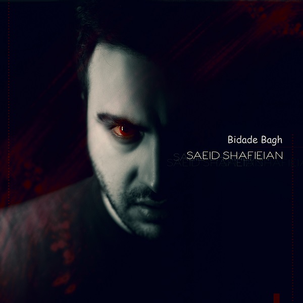 Saeid Shafieian – Bidade Bagh