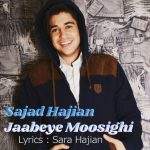 Sajad Hajian – Jaabeye Moosighi - 