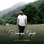 Shahin Kamali – Divooneye Esfandi - 