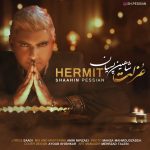 Shaahin Pessian – Hermit(Ozlat) - 