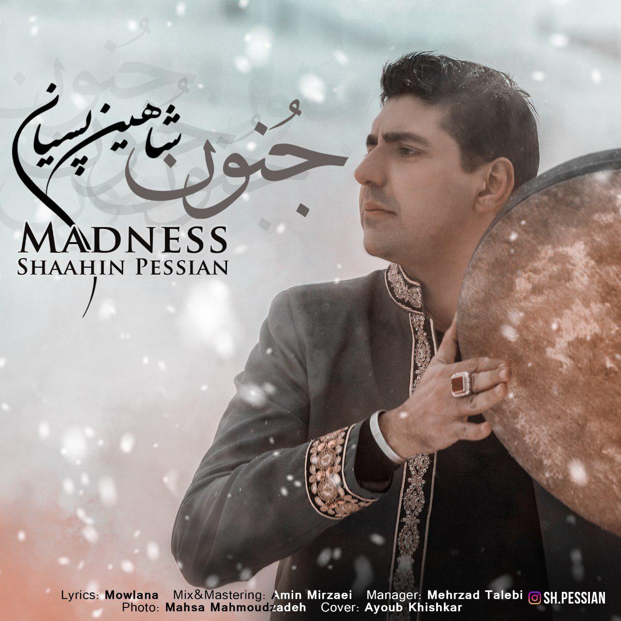 Shaahin Pessian – Madness(Jonun)