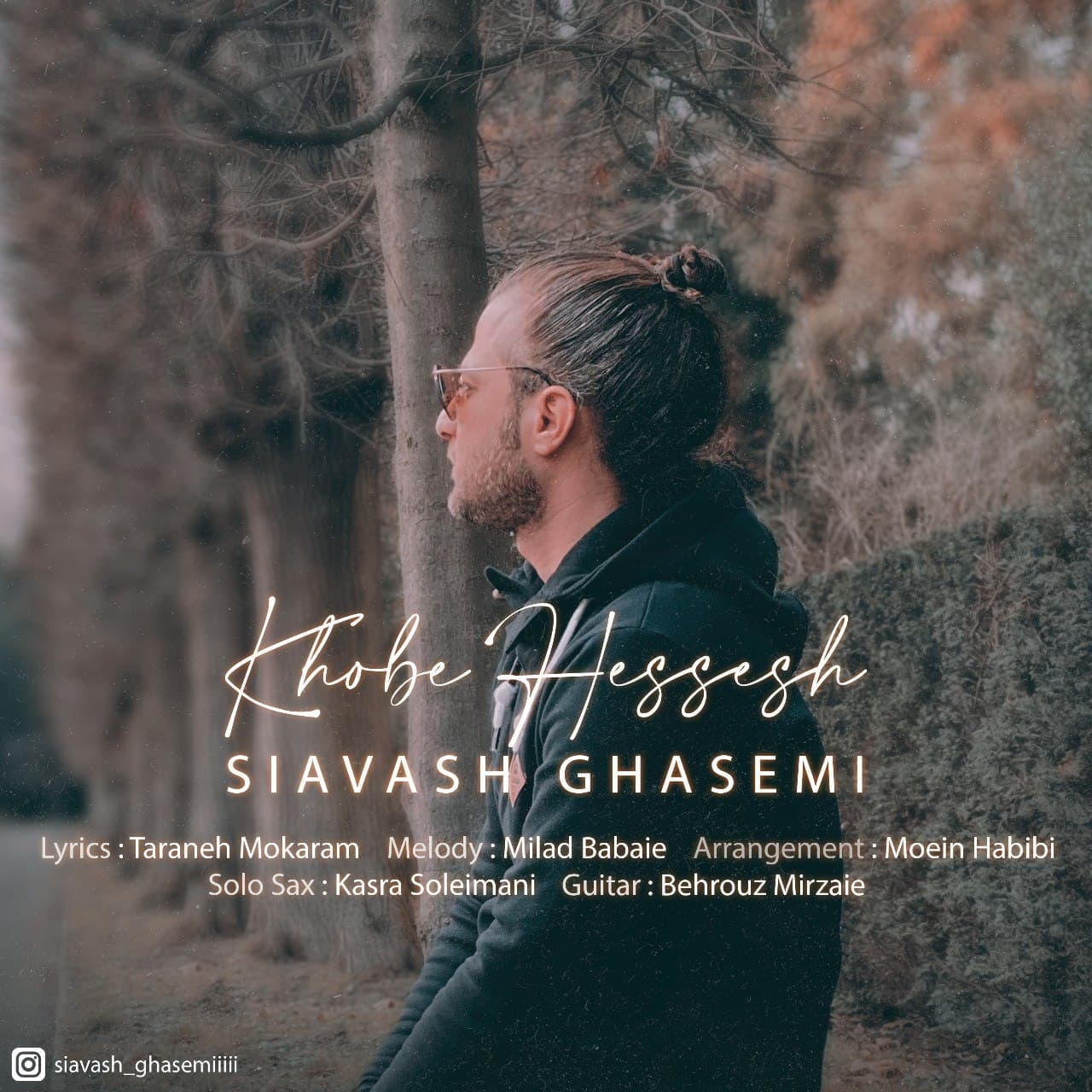 Siavash Ghasemi – Khobe Hessesh