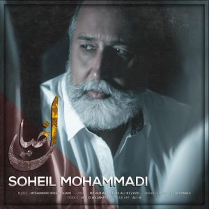 Soheil Mohammadi 