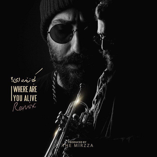 The MIRZZA – Where Are You Alive