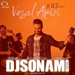 Vesal Amiri – Are (DJ Sonami Remix)