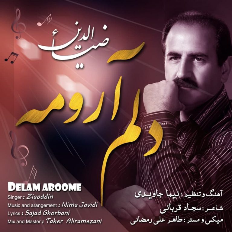 Ziaoddin – Delam Aroome