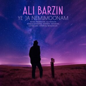 Ali Barzin