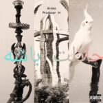 Arena – Halalet BasheArena - Halalet Bashe