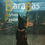 Ayhan Paydar – Barabas - باراباس