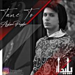 Ayhan Paydar – Tane To - تن تو