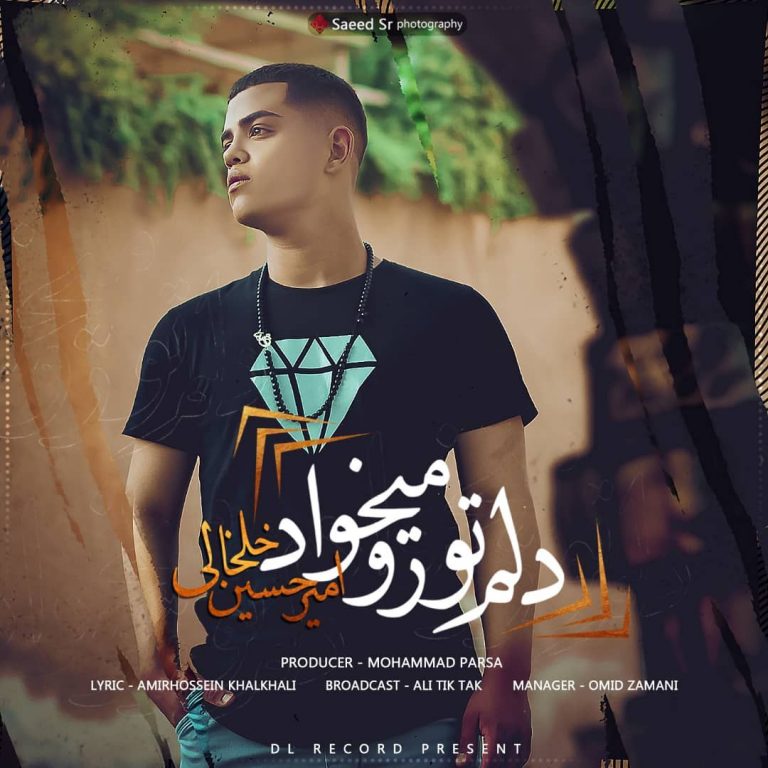 Amir Hossein khalkhali – Delam Toro Mikhad