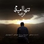 Mojtaba Ghorab – Tanha Omidam