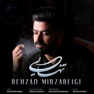 Behzad Mirzabeigi