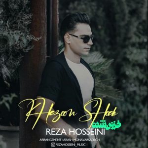 Reza Hosseini 