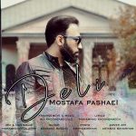 Mostafa Pashaei – Deli