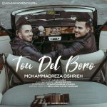 Mohammad Reza Oshrieh – Too Del Boro - 