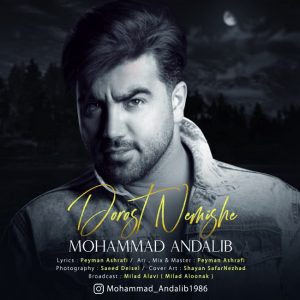 Mohammad Andalib