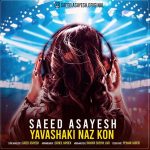 Saeed Asayesh – Yavashaki Naz Kon - 