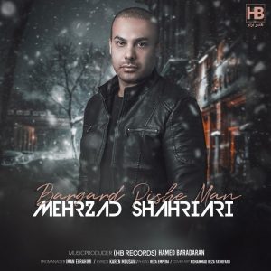 Mehrzad Shahriari 