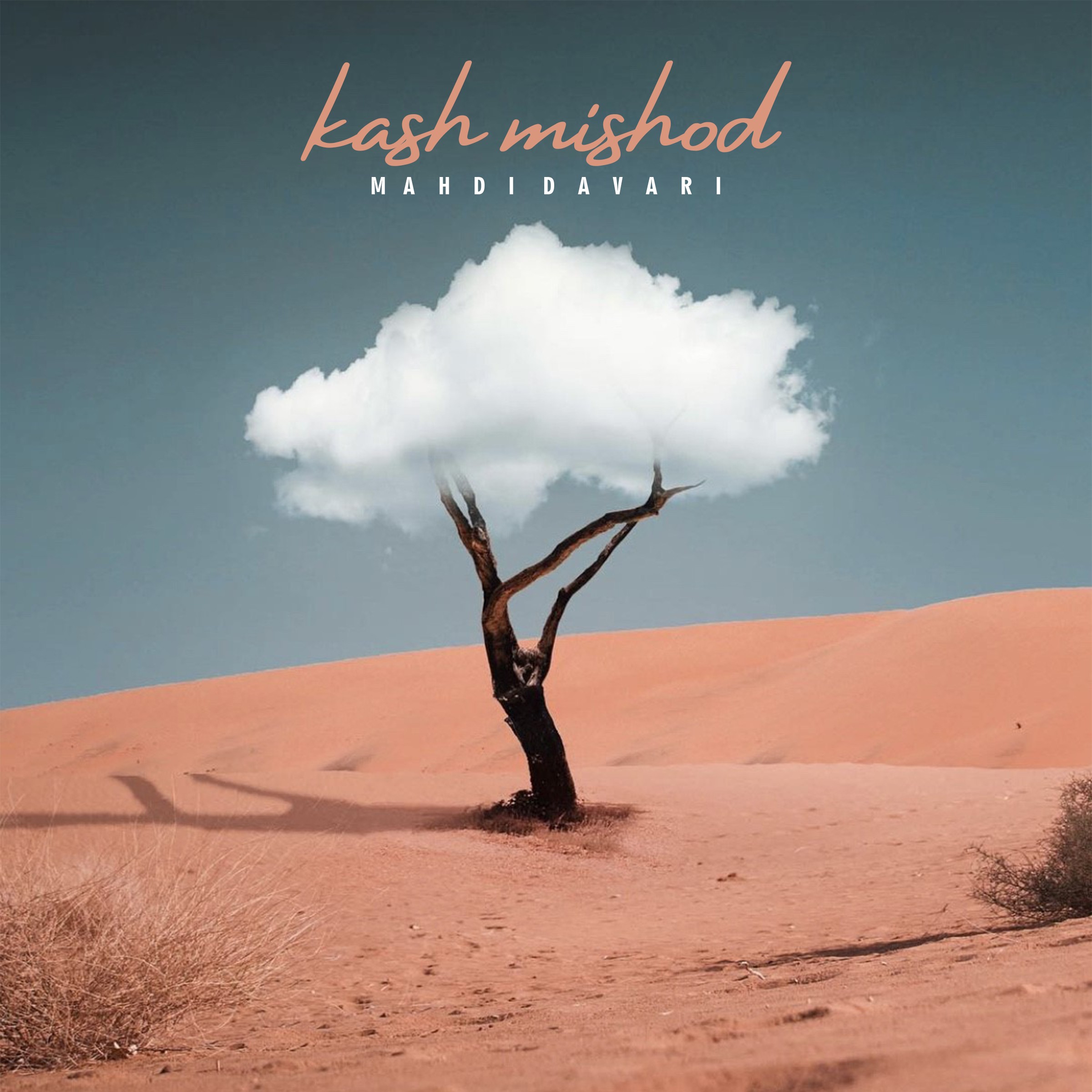 Mahdi Davari – Kash Mishod