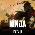 Peygir – NinjaPeygir - Ninja
