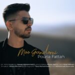 Pouria Fattah – MooGandomi -  مو گندمی