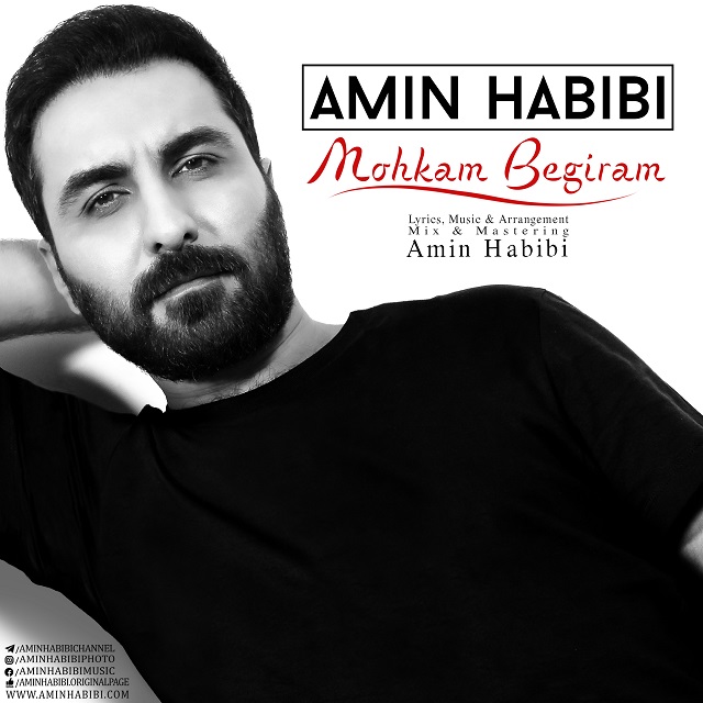 Amin Habibi – Mohkam Begiram